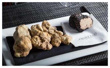 ¡Ya comenzó la temporada de trufa blanca!