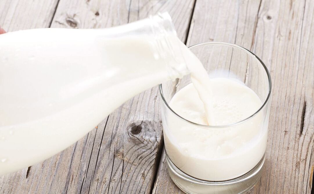 Foto: Archivo/EL UNIVERSAL 