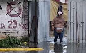 “Caen hasta 100% afectaciones por inundaciones”