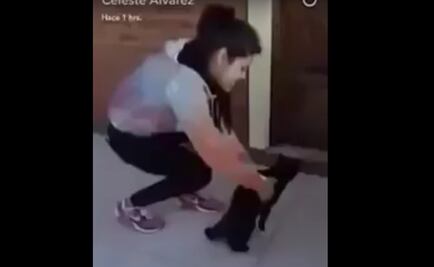 Mujer arroja a gato desde cuarto piso 