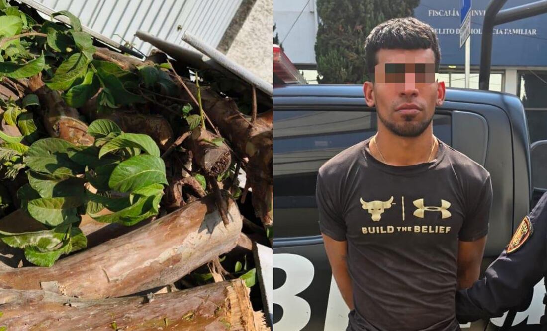 Detienen a personas por tala ilegal de árboles en la Benito Juárez (26/03/2025). Foto: Especial