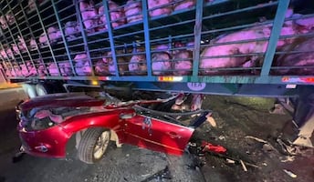 Choque entre auto y tráiler con cerdos deja un lesionado en la México-Texcoco; autoridades investigan causas del accidente