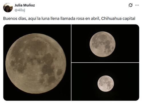 Imágenes de la Luna Rosa 2026. Foto: X