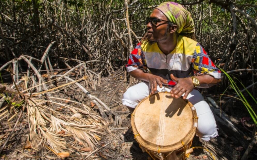 Belice: lo que debes saber para nadar en la Barrera Arrecifal Mesoamericana