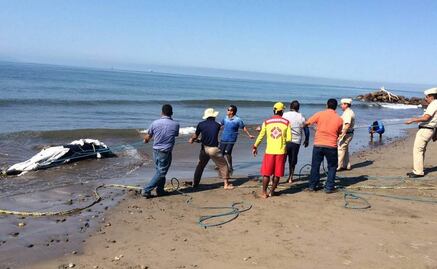 Emiten recomendación ante varamiento de animales marinos