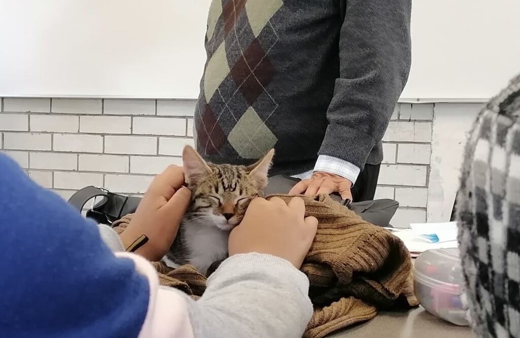 FOTOS: Lemmy /EL UNIVERSAL/