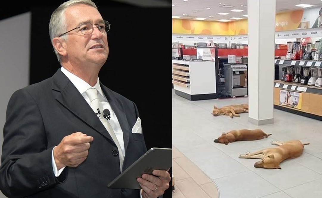 Ricardo Salinas Pliego ha reiterado su respeto por los animales. Foto: Archivo EL UNIVERSAL / Facebook Soy Laguna