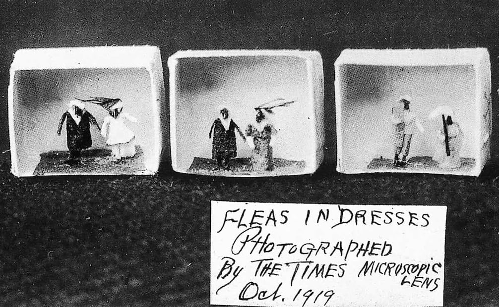 Cajitas con pulgas vestidas, de 1919. Estas curiosas artesanías tuvieron mucho éxito en Estados Unidos. Foto: Wikimedia Commons.