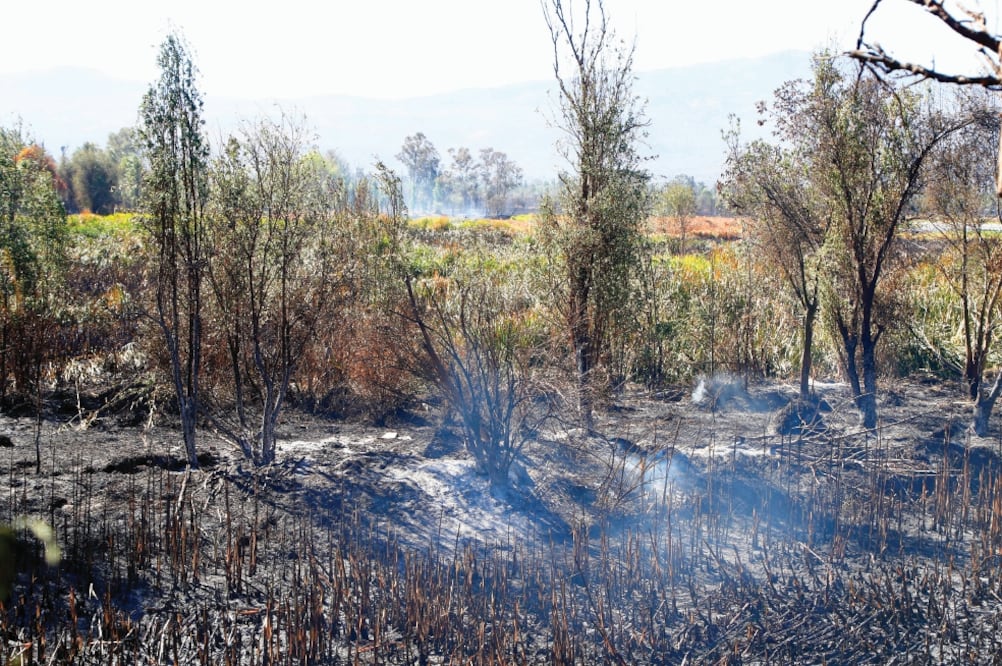 En el primer gran incendio, que duró unas 10 horas y fue controlado por 100 bomberos y 300 integrantes de distintas dependencias, resultaron afectadas 70 de 165 hectáreas del área verde. Foto: YADÍN XOLALPA. EL UNIVERSAL