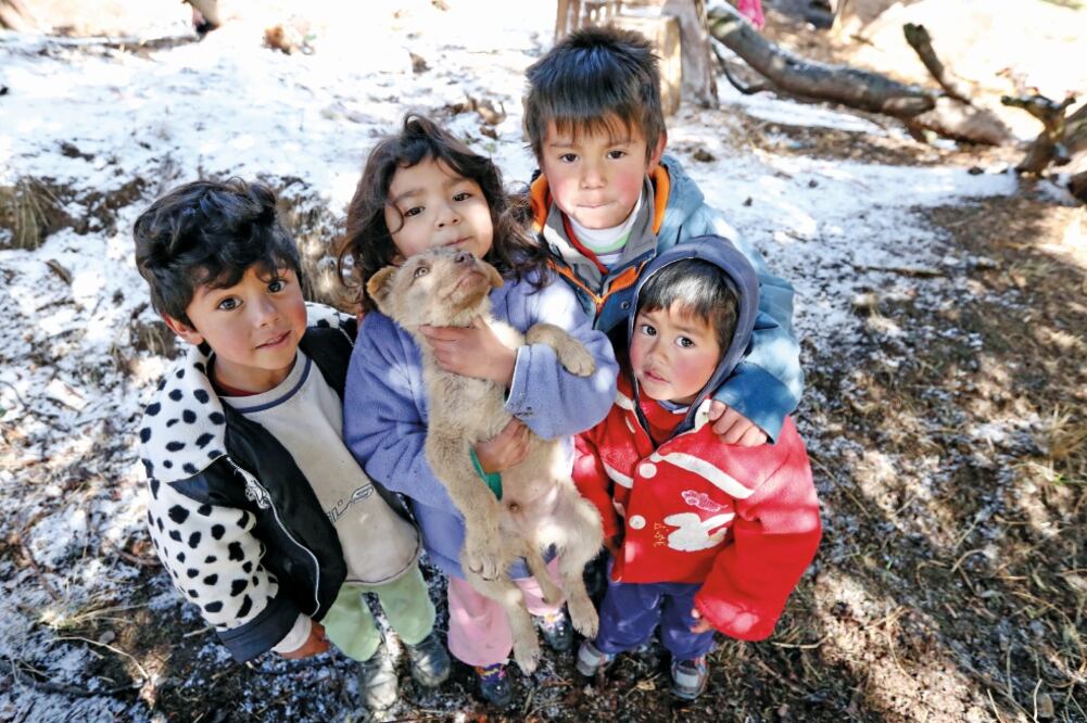 En las zonas altas de algunas delegaciones, como Cuajimalpa, los termómetros bajaron hasta los -3 grados. Los pequeños habitantes de la demarcación disfrutaron de jugar con el aguanieve que cayó. (ARIEL OJEDA. EL UNIVERSAL)