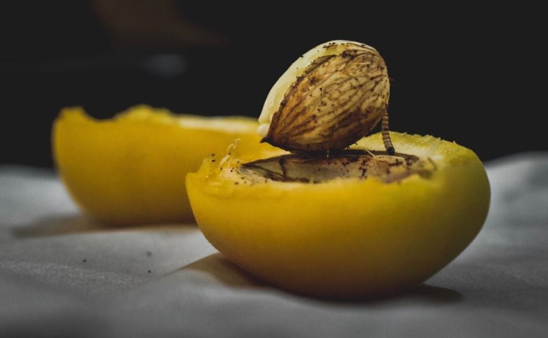 Los restaurantes deben ser sumamente cuidadosos al servir la comida. Fuente: Unsplash.com