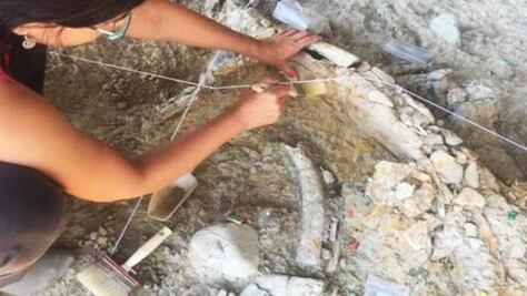 Hallan costillas de mamut de hace un millón de años