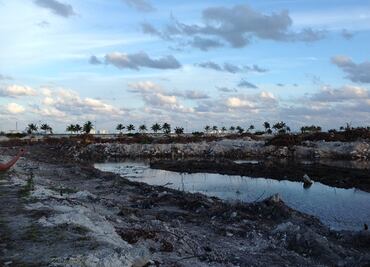 Tribunal Colegiado ratifica prohibición para construir en Malecón Tajamar