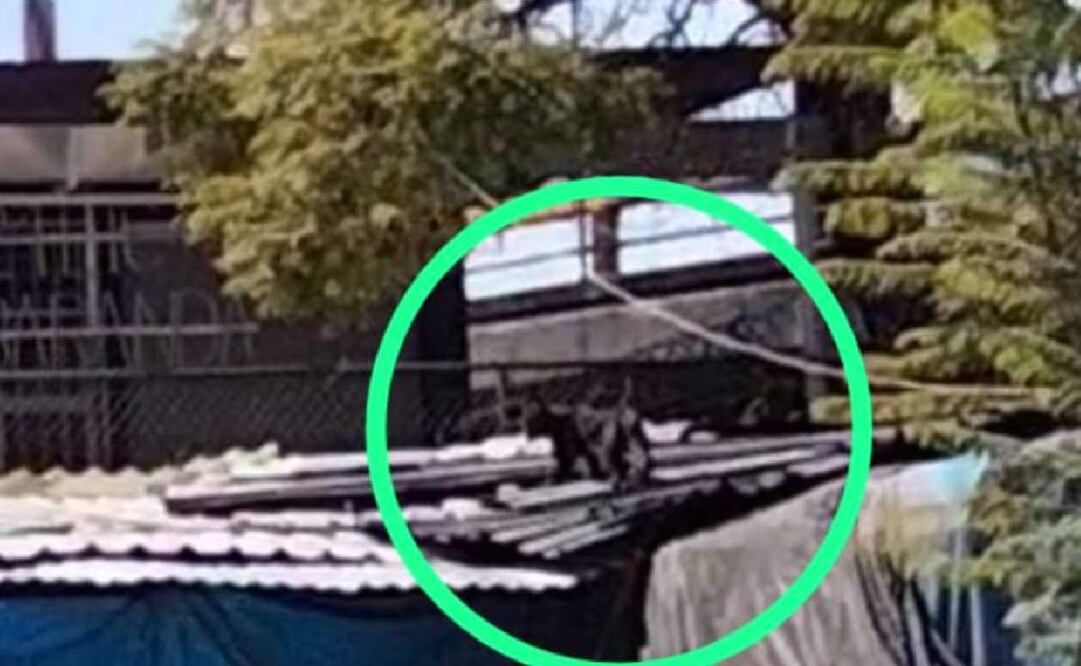 Foto: archivo / EL UNIVERSAL