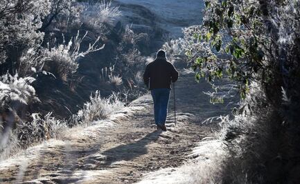 ¡Ponte suéter! Primera tormenta invernal se ubicará este viernes en 4 estados