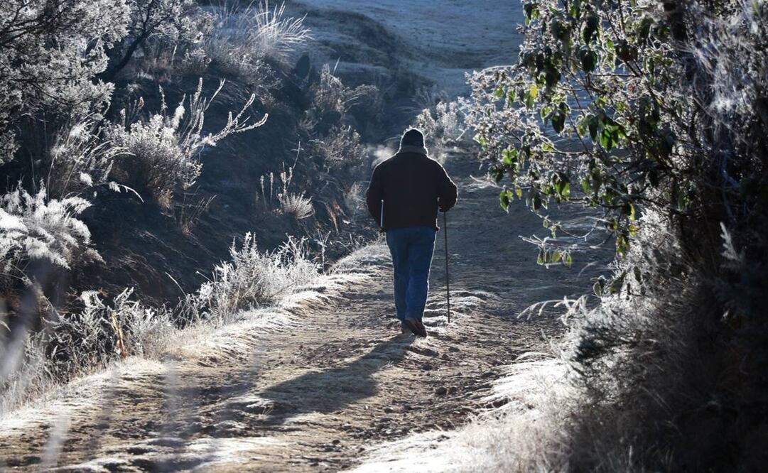 Foto: Archivo/ EL UNIVERSAL.