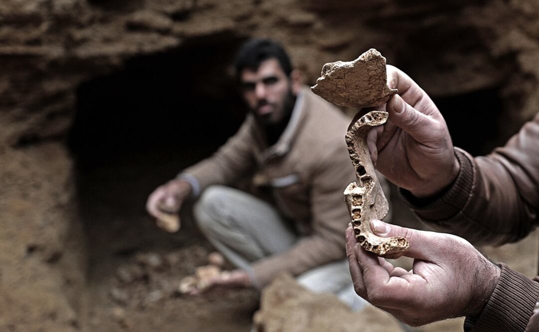 EFE/EPA/Mohammed Saber