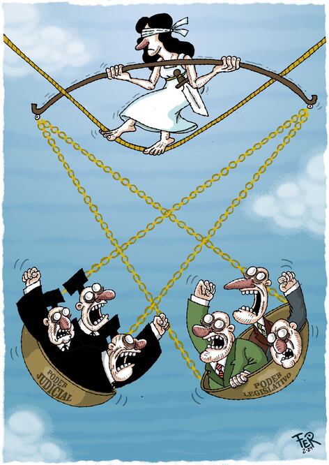 Cartón de FER