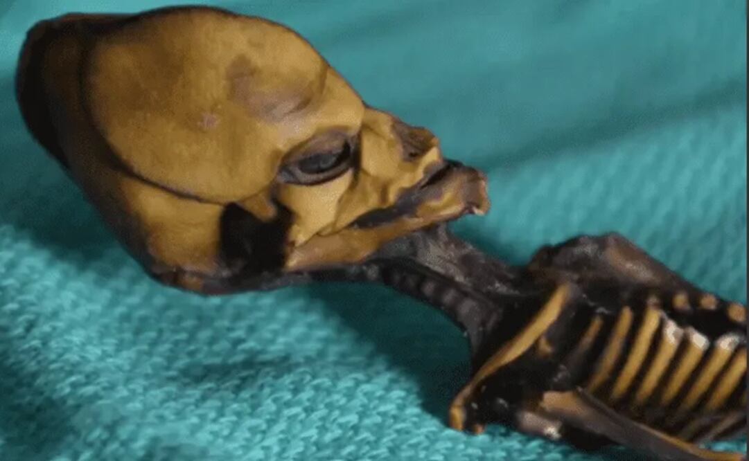 Los secretos de la "momia extraterrestre" hallada en el desierto de Atacama. Foto: La Prensa Gráfica 