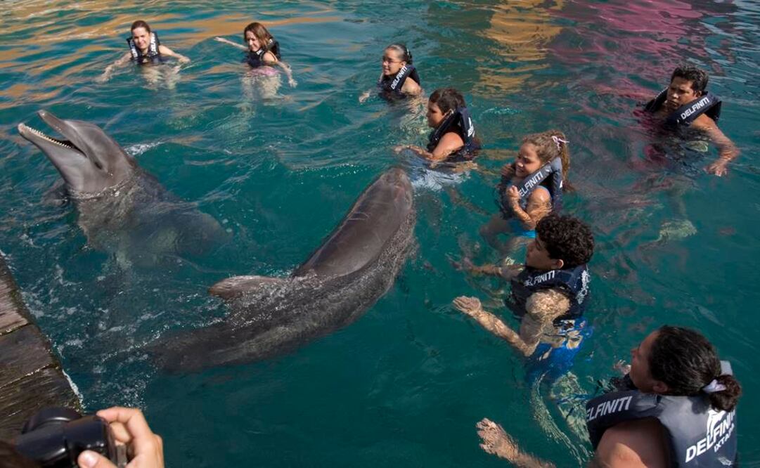 ARCHIVO / EL UNIVERSAL