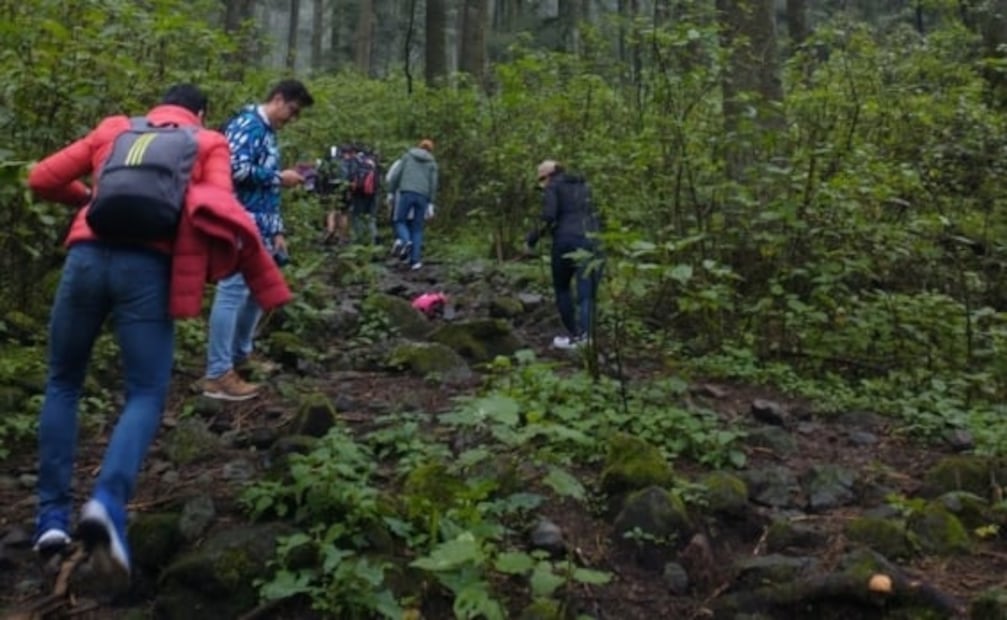 Gritos, silbatos y sin perder el ánimo: así fue el rescate de excursionistas perdidos en el Ajusco