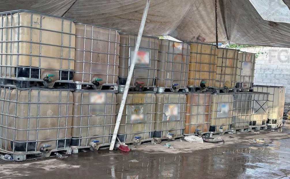 Las autoridades subrayaron que continuarán las acciones para combatir este delito en la región. Foto: Especial