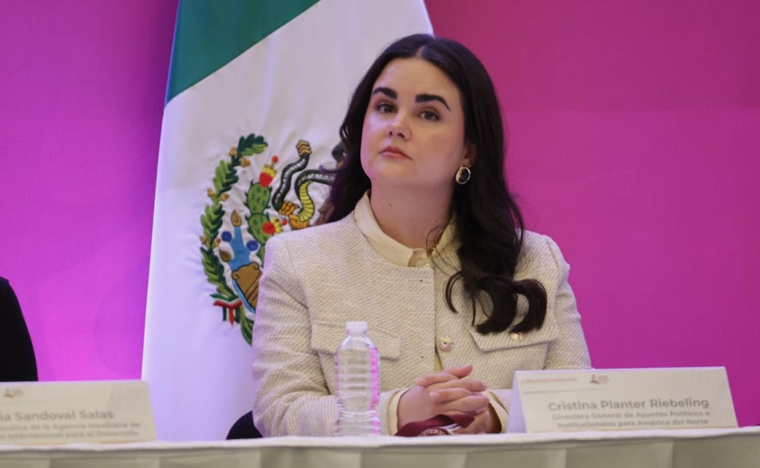 Cristina Planter Riebeling fue propuesta como subsecretaria para América del Norte de la Secretaría de Relaciones Exteriores. Foto: Especial