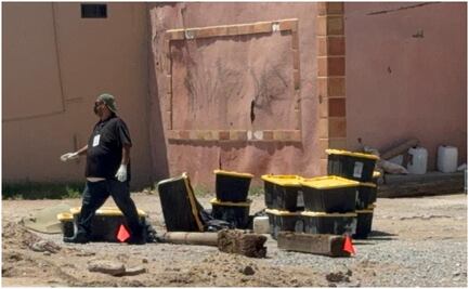 Abandonan contenedores con tortugas muertas en Ciudad Juárez, Chihuahua