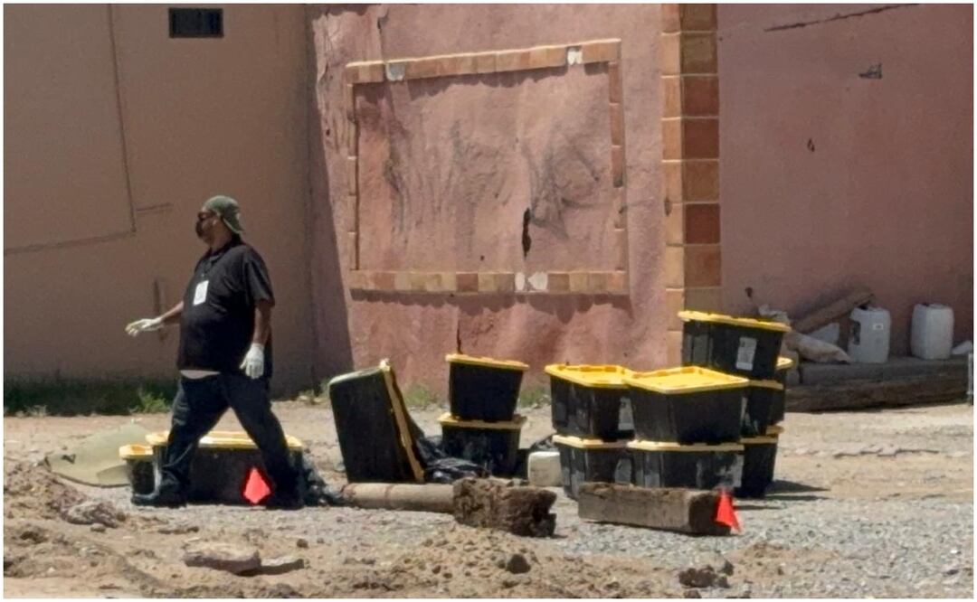 El hallazgo de contenedores con tortugas muertas ocurrió en la avenida De las Industrias muy cerca del bulevar Juan Pablo II. Foto: Especial