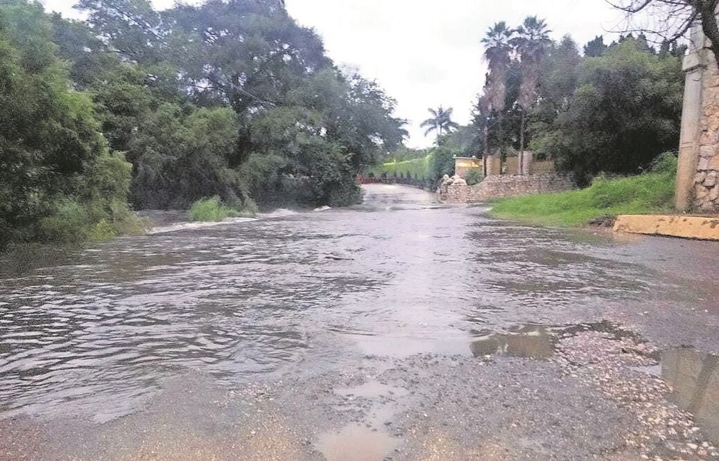 Foto: Archivo / EL UNIVERSAL