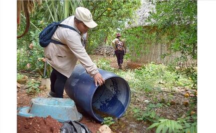 Alerta salud por incremento de dengue en Yucatán; confirma 139 casos