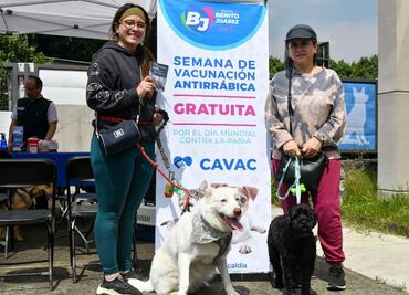 Realizan semana de vacunación antirrábica en alcaldía Benito Juárez