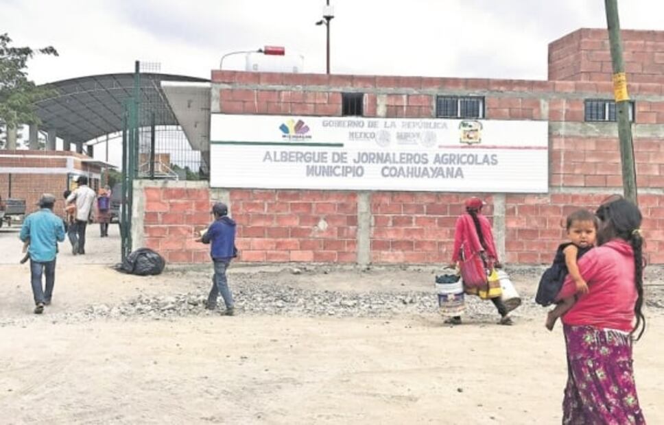 Niños jornaleros: 20 pesos diarios y apenas van a clases