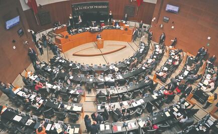 Reconocen avances en dictámen de la Ley Orgánica de la Fiscalía General de la República