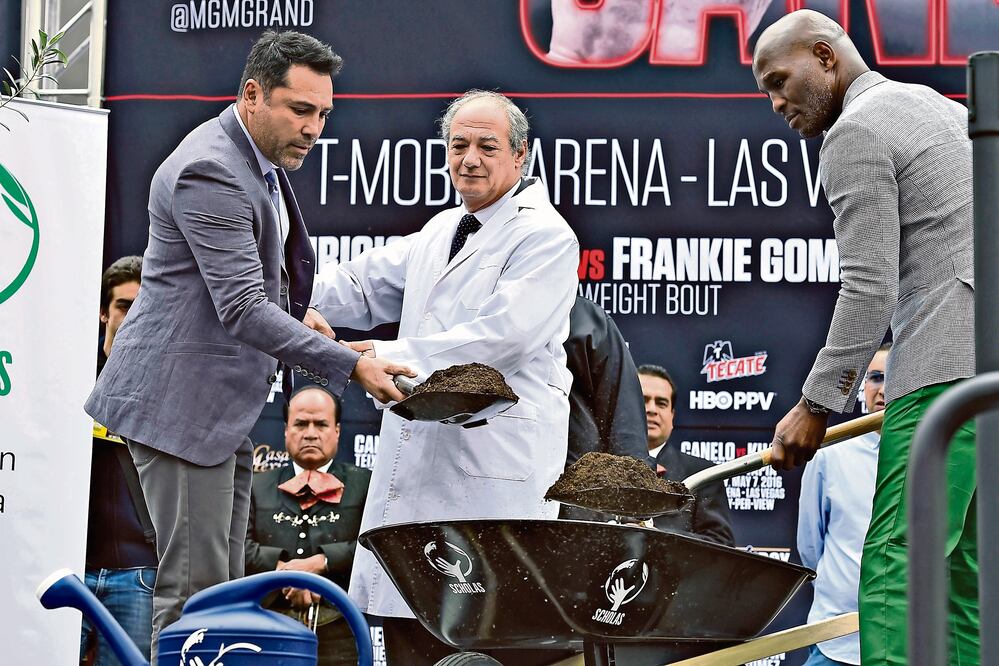 Con la plantación de un olivo se transmite el mensaje de paz a miles de personas que siguen el boxeo. (IMAGO7)