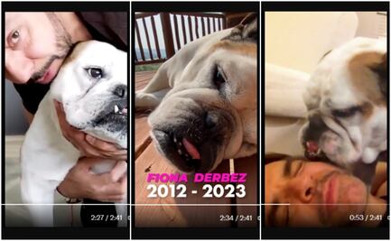 Eugenio Derbez anuncia la muerte de su perrita "Fiona"