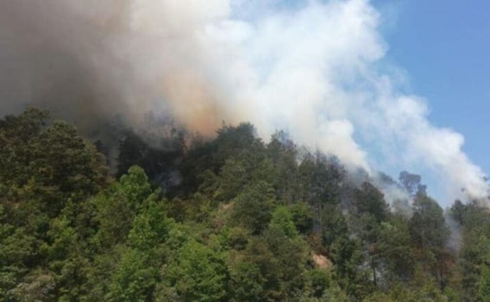 Incendio ocasiona cierre de carretera en Hidalgo