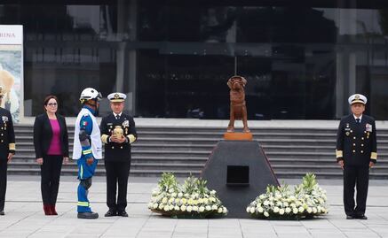 "Nos vemos gordita, hasta la próxima misión", rinden homenaje luctuoso a Frida, perrita rescatista 