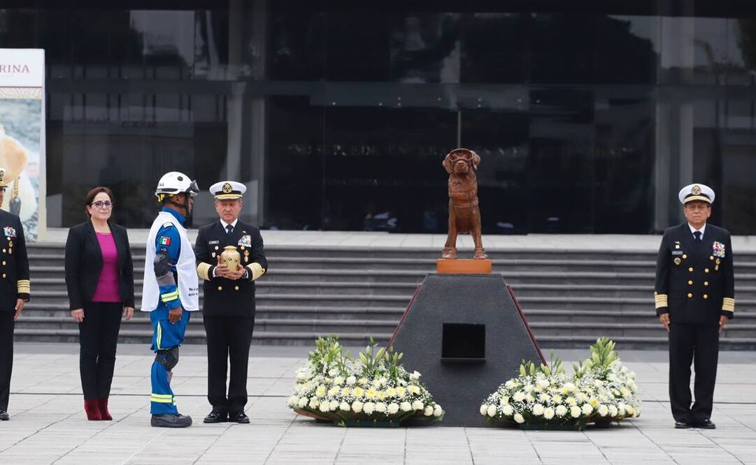 Foto: Berenice Fregoso / EL UNIVERSAL