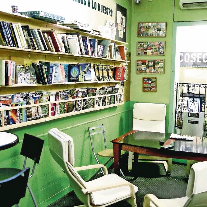 Los clubes de cannabis han proliferado en los últimos años en España, principalmente en las grandes ciudades. Foto: ARCHIVO. EL UNIVERSAL