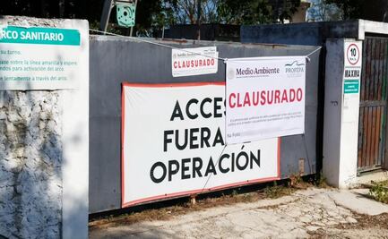 Profepa clausura granja porcícola Kekén en Mérida, Yucatán; pobladores denunciaron daños al medio ambiente