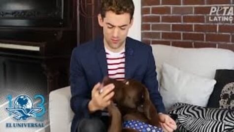 Los perros deben vivir dentro de la casa: Luis Gerardo Méndez