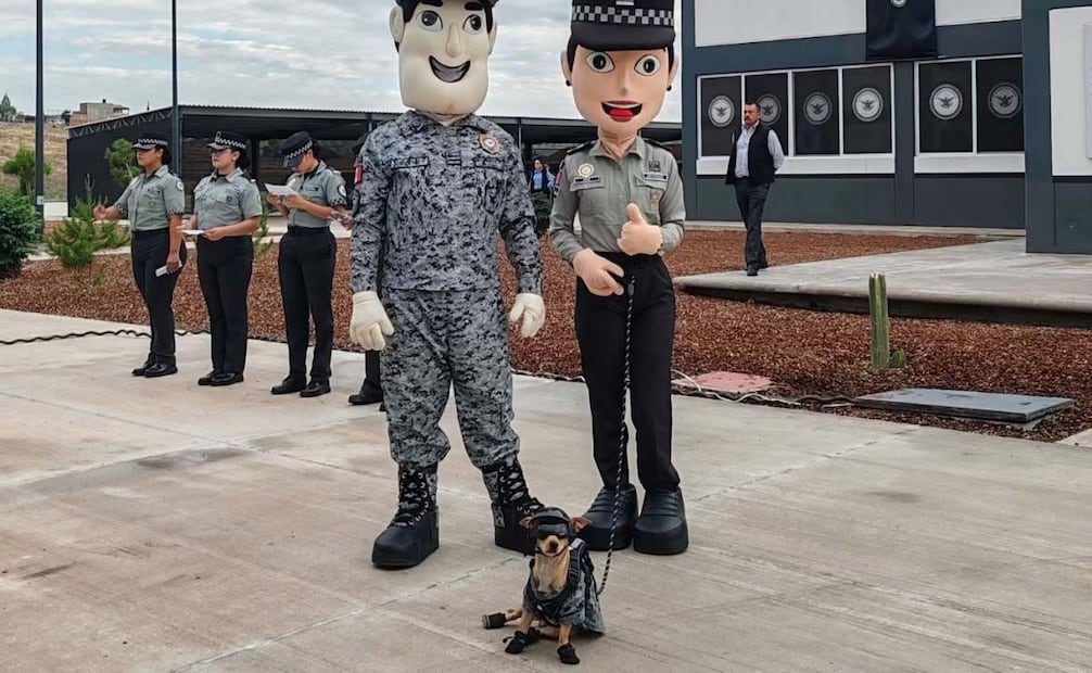 Comando ingresa a la Guardia Nacional de Chihuahua; perrito usa uniforme, lentes y zapatos oficiales.
Foto: Especial.