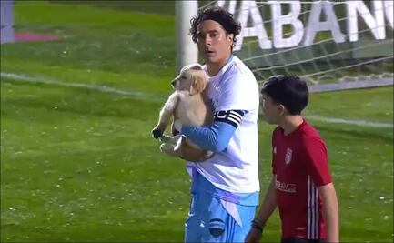 Guillermo Ochoa saltó al campo con un perrito y logró otra portería en ceros en Portugal