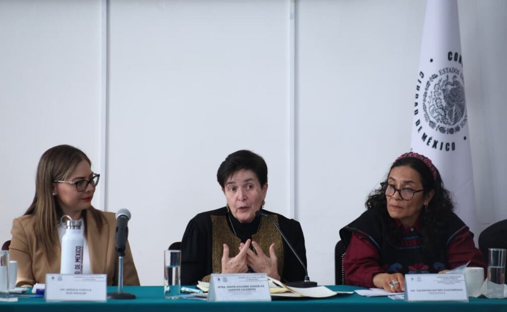 Se ha abatido el rezago y aumentado la eficacia en Derechos Humanos en la Ciudad de México: Dolores González Saravia.
Foto: Especial.