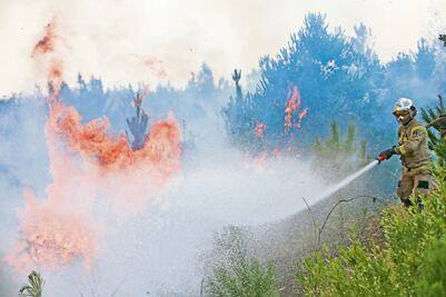 Chile reporta ligera mejoría en combate a los incendios