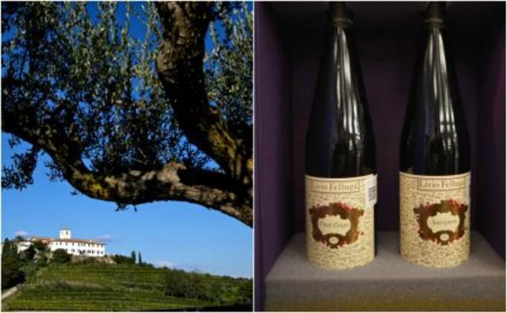 Terre Alte, uno de los grandes vinos de todos los tiempos