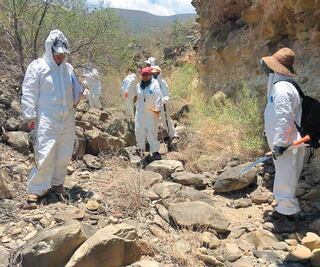 Búsqueda de desaparecidos se vuelve profesión
