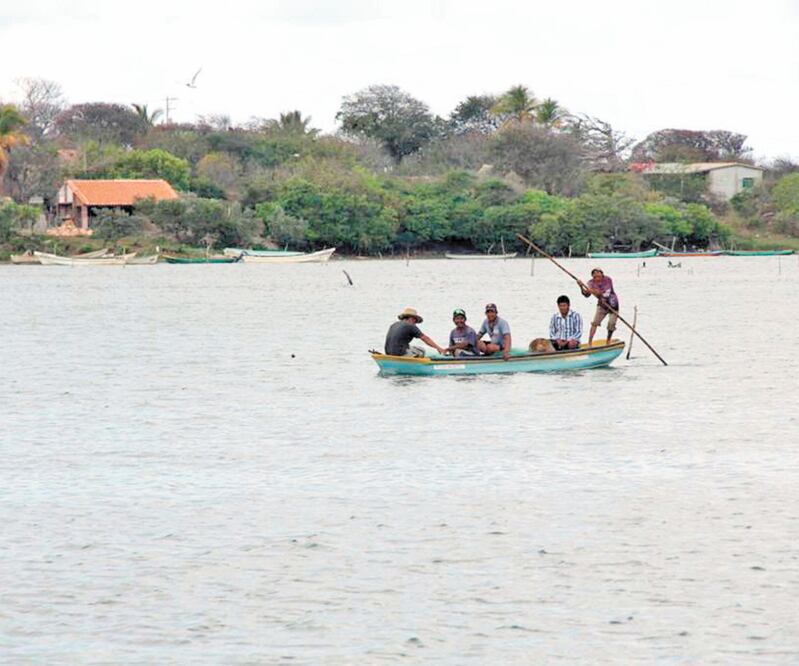 La familia de Oliver Ocampo y otras fueron expulsadas de su comunidad a punta de pistola en 2013. A la fecha no les ha llegado la justicia. CORTESÍA