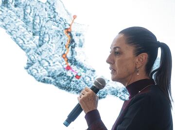 Sheinbaum ya analiza concesiones para primeros trenes similares al Tren Maya